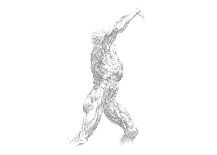 DADALITE