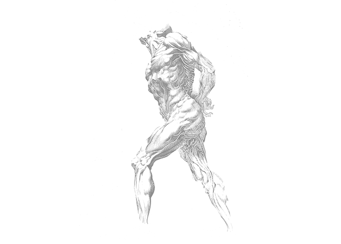 DADALITE